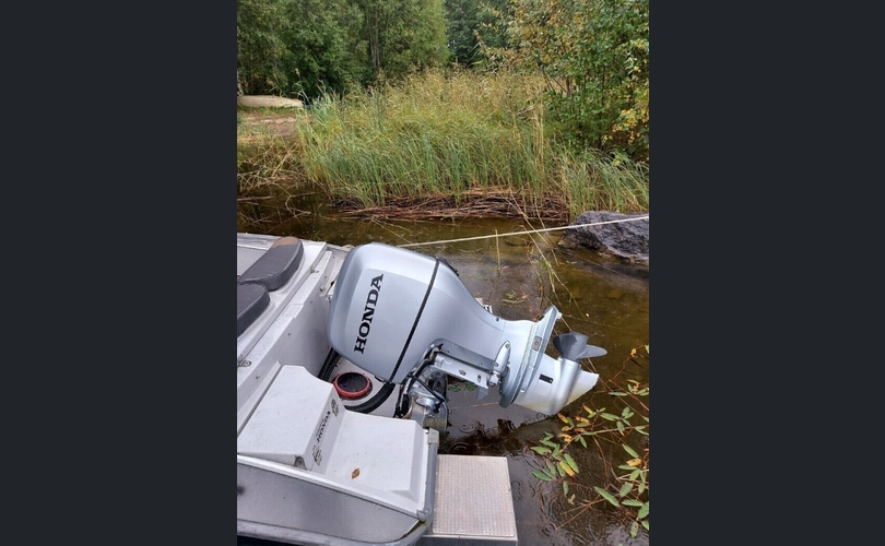 Silver Shark BR-kuva-2